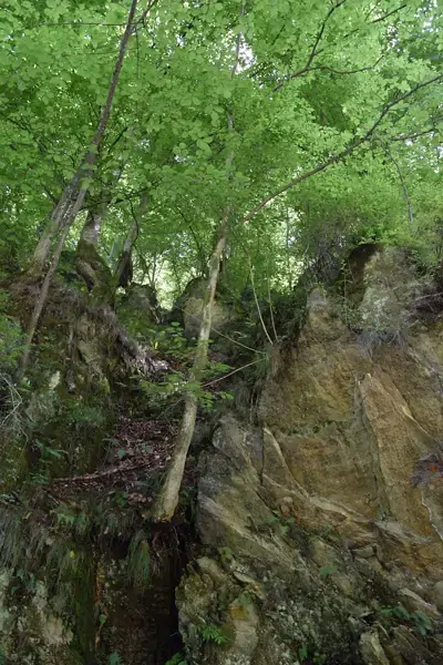 Rugged wilderness