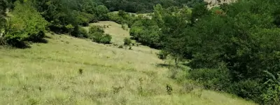 The property in Banpotoc, Transylvania – where the land gifts are located